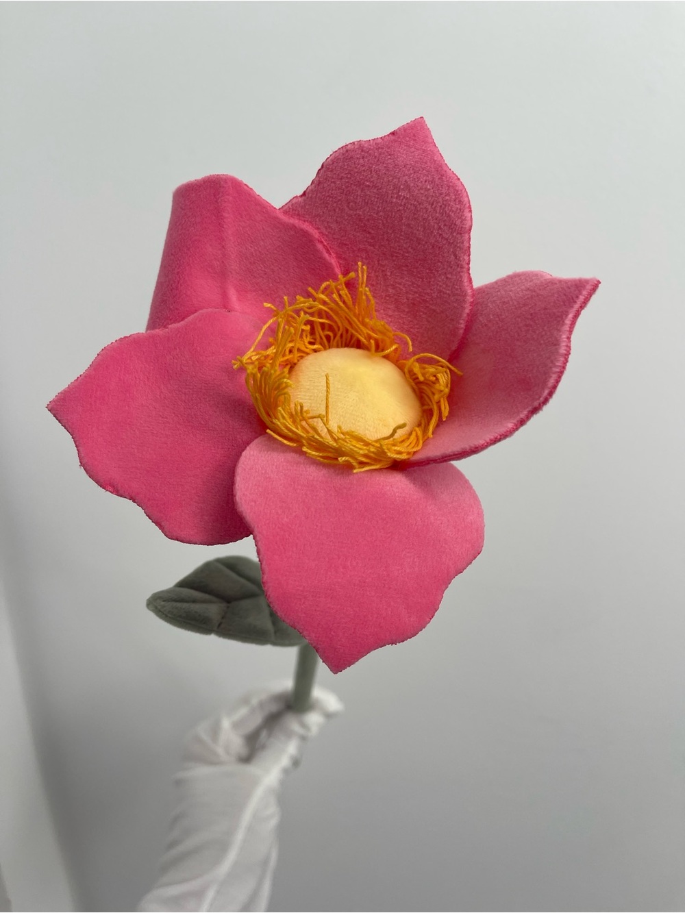 CJ Hendry Flower Market Hong Kong Native - 1 Camellia Bloom